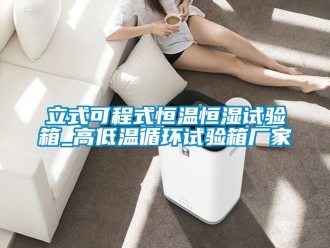 知識百科立式可程式恒溫恒濕試驗箱_高低溫循環(huán)試驗箱廠家