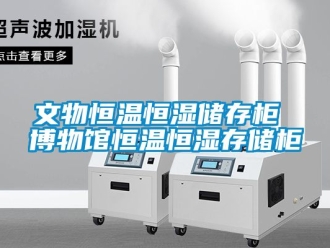 知識(shí)百科文物恒溫恒濕儲(chǔ)存柜 博物館恒溫恒濕存儲(chǔ)柜