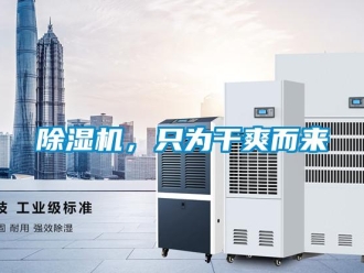常見問題除濕機，只為干爽而來