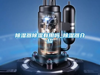 行業新聞除濕器除濕有用嗎_除濕器介紹