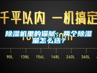 常見問題除濕機里的貓膩：兩個除濕量怎么選？
