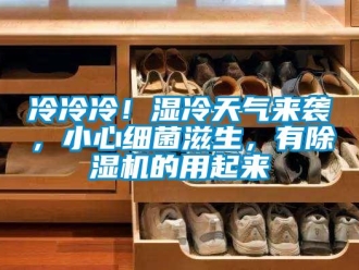 行業新聞冷冷冷！濕冷天氣來襲，小心細菌滋生，有除濕機的用起來