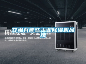常見問題甘肅有哪些工業除濕機品牌