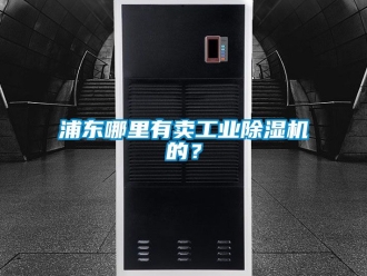 常見問題浦東哪里有賣工業除濕機的？