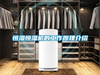 知識百科恒濕恒濕機的工作原理介紹