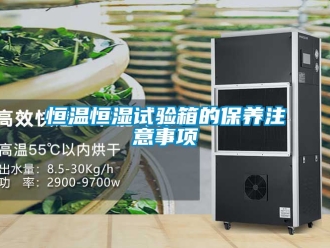 知識百科恒溫恒濕試驗箱的保養注意事項