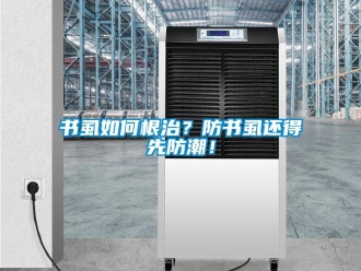 常見問題書虱如何根治？防書虱還得先防潮！