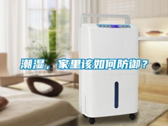 常見問題潮濕，家里該如何防御？