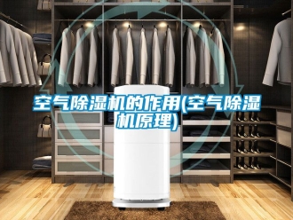 行業新聞空氣除濕機的作用(空氣除濕機原理)