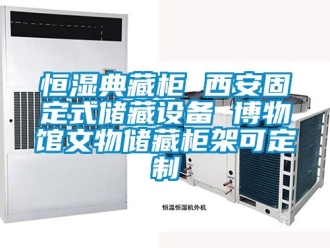 知識百科恒濕典藏柜 西安固定式儲藏設備 博物館文物儲藏柜架可定制