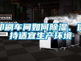 常見問題印刷車間如何除濕、保持適宜生產(chǎn)環(huán)境