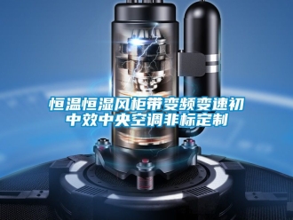 知識百科恒溫恒濕風柜帶變頻變速初中效中央空調非標定制