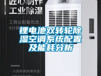 行業新聞鋰電池雙轉輪除濕空調系統配置及能耗分析