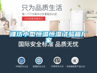 知識(shí)百科濰坊小型恒溫恒濕試驗(yàn)箱廠家