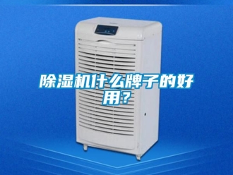 行業(yè)新聞除濕機什么牌子的好用？