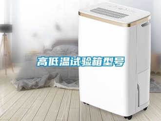 常見問題高低溫試驗箱型號