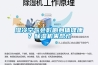 濕冷空氣會影響身體健康？除濕機來幫忙