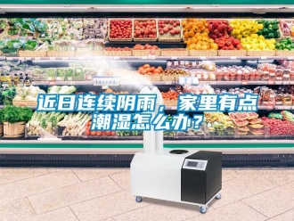 常見問題近日連續陰雨，家里有點潮濕怎么辦？