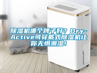 行業(yè)新聞除濕機(jī)哪個(gè)牌子好？Dry-Active可穿戴式除濕機(jī)讓你無(wú)懼潮濕！