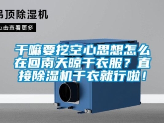 常見問題干嘛要挖空心思想怎么在回南天晾干衣服？直接除濕機干衣就行啦！