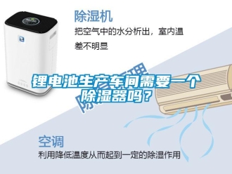 常見問題鋰電池生產車間需要一個除濕器嗎？