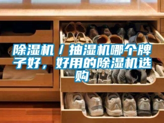 企業(yè)新聞除濕機(jī)／抽濕機(jī)哪個(gè)牌子好，好用的除濕機(jī)選購(gòu)