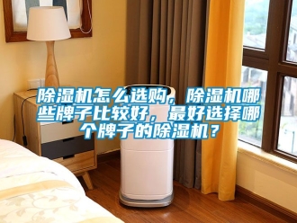 行業新聞除濕機怎么選購，除濕機哪些牌子比較好，最好選擇哪個牌子的除濕機？
