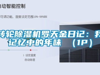 常見問題轉輪除濕機羅天金日記：我記憶中的年味 （1P）
