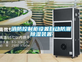 常見問題消防控制柜設置自動防潮除濕裝置