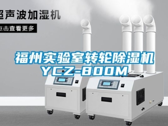 常見問題福州實驗室轉(zhuǎn)輪除濕機YCZ-800M
