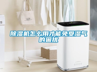 常見問題除濕機怎么用才能免受濕氣的困擾