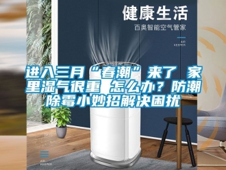 常見(jiàn)問(wèn)題進(jìn)入三月“春潮”來(lái)了 家里濕氣很重 怎么辦？防潮除霉小妙招解決困擾