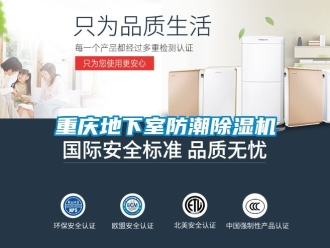 行業(yè)新聞重慶地下室防潮除濕機(jī)
