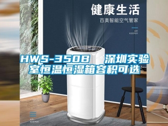 常見問題HWS-350B  深圳實驗室恒溫恒濕箱容積可選