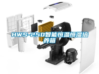 常見問題HWS-250智能恒溫恒濕培養箱
