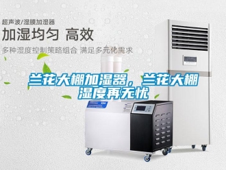 行業(yè)新聞蘭花大棚加濕器，蘭花大棚濕度再無憂