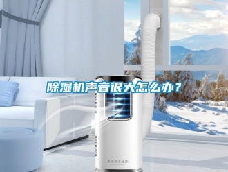 常見問題除濕機聲音很大怎么辦？