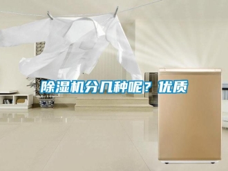行業新聞除濕機分幾種呢？優質