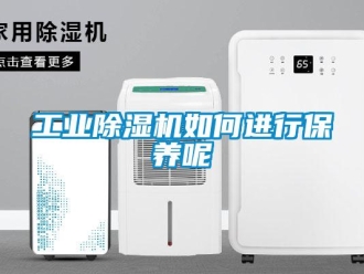常見問題工業除濕機如何進行保養呢