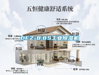 常見問題CFZ-8.8S工業除濕機