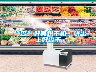 常見問題“杏”好有烘干機，烘出上好杏干