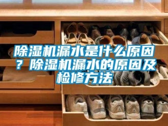 常見問題除濕機漏水是什么原因？除濕機漏水的原因及檢修方法
