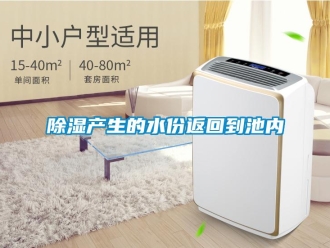 常見問題除濕產生的水份返回到池內