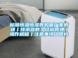 常見問題標準恒溫恒濕養(yǎng)護箱廠家概述丨技術參數(shù)丨結構原理丨操作規(guī)程丨注意事項丨圖片