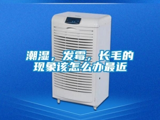 常見(jiàn)問(wèn)題潮濕，發(fā)霉，長(zhǎng)毛的現(xiàn)象該怎么辦最近