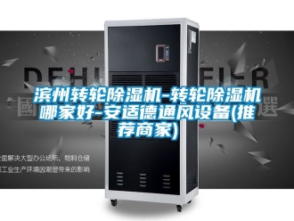 常見問題濱州轉(zhuǎn)輪除濕機(jī)-轉(zhuǎn)輪除濕機(jī)哪家好-安適德通風(fēng)設(shè)備(推薦商家)