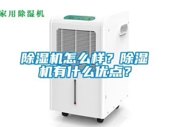 行業(yè)新聞除濕機怎么樣？除濕機有什么優(yōu)點？
