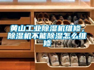 常見問題黃山工業(yè)除濕機(jī)維修，除濕機(jī)不能除濕怎么維修