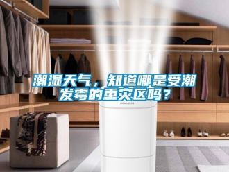 常見問題潮濕天氣，知道哪是受潮發(fā)霉的重災區(qū)嗎？