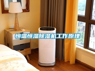 知識百科恒溫恒濕除濕機工作原理